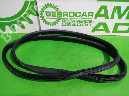 Gummiliste DACIA SANDERO II | BP38862114C142 - Image 2