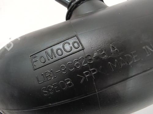 Pipe FORD PUMA (J2K, CF7) 1.0 EcoBoost | BP34112791M125 - Image 5