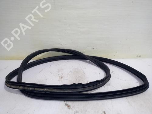 Gummiliste Gummiliste RENAULT SCÉNIC II (JM0/1_) [2003-2010] 31558840 31558840