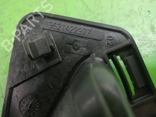 Front left interior door handle PEUGEOT PARTNER MPV (5_, G_) 2.0 HDI | BP31550268I13