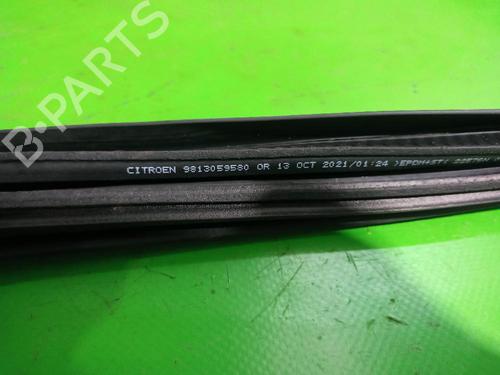 Gummiliste CITROËN C3 II (SC_) 1.2 VTi 82 | BP31551546C142 - Image 3
