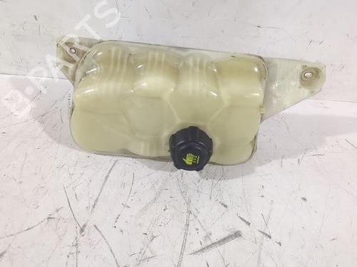 Used Expansion tank NISSAN JUKE (F15) 1.5 dCi (110 hp) 32489173