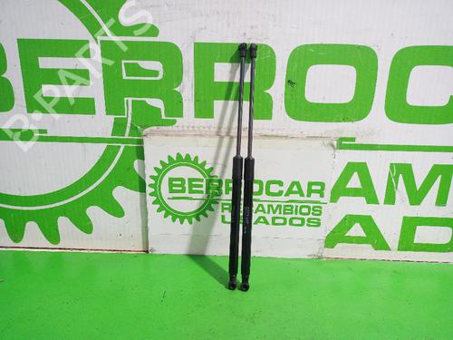 gasdmper-bagklap-citroen-c3-ii-sc_-2009-31551540 main image