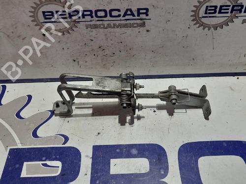 hingedoor-check-strap-renault-kangoo-be-bop-kw01_-2009-31538697 main image