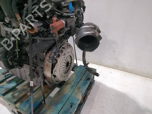 Engine FORD FOCUS C-MAX (DM2) 2.0 TDCi | BP32464601M1