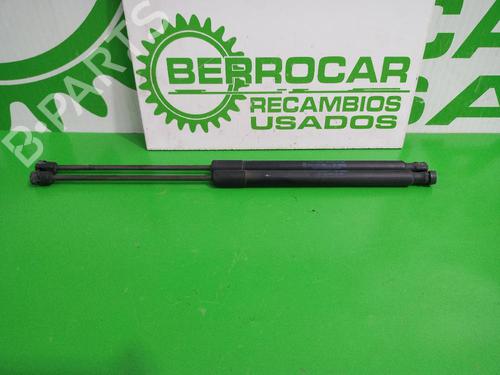 tailgate-lift-support-ford-focus-iii-saloon-2010-2011-2012-2013-2014-2015-2016-2017-2018-2019-2020-31544371 main image