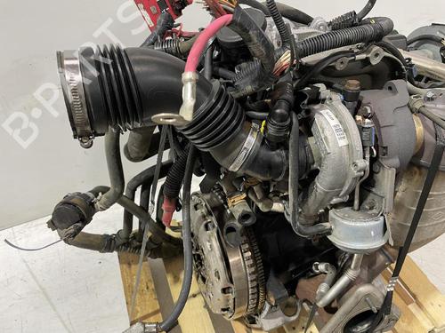 Engine RENAULT SCÉNIC II (JM0/1_)  | BP31677493M1 