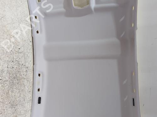 Used Interior roof Interior roof 39610070 39610070