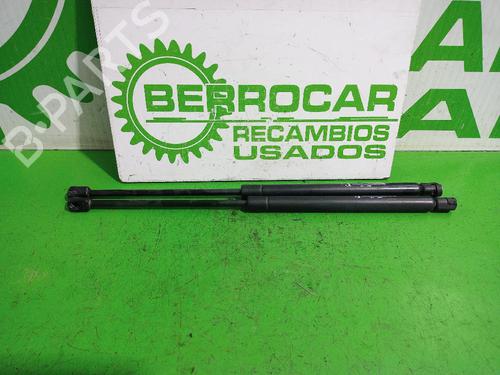 tailgate-lift-support-peugeot-307-break-3e-2002-2003-2004-2005-2006-2007-2008-2009-31546766 main image