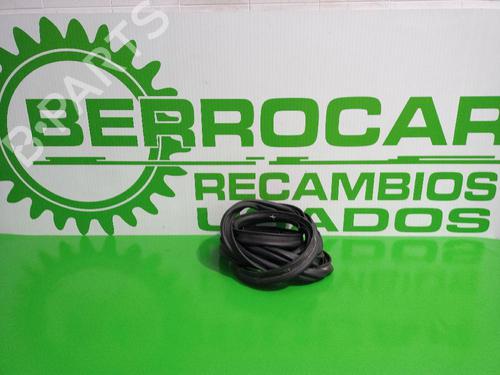 rubber-door-seal-renault-scenic-ii-jm01_-2003-2004-2005-2006-2007-2008-2009-2010-31674184 main image