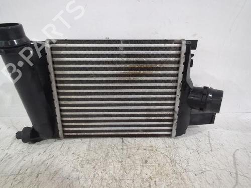 Used Intercooler DACIA SANDERO II 1.5 dCi (90 hp) 31566506