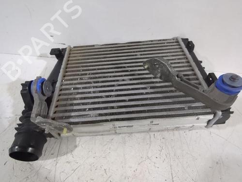 Intercooler CITROËN JUMPY III Van (V_) 1.5 BlueHDi 100 | BP31564633M30