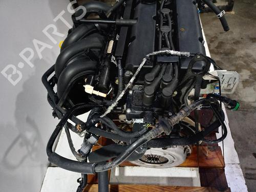 Engine FORD FOCUS I Saloon (DFW) 1.6 16V | BP31556217M1 