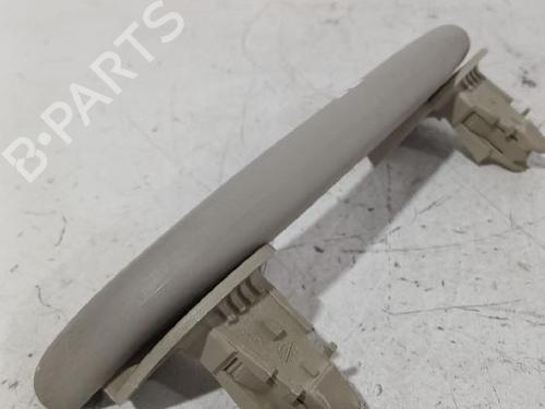 Interior roof handle RENAULT MEGANE II (BM0/1_, CM0/1_) 1.9 dCi (BM0G, CM0G) | BP32465805I35 