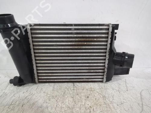 Used Intercooler DACIA SANDERO II 1.5 dCi (90 hp) 31566506