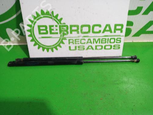 tailgate-lift-support-nissan-qashqai-ii-j11-j11_-2013-31548903 main image