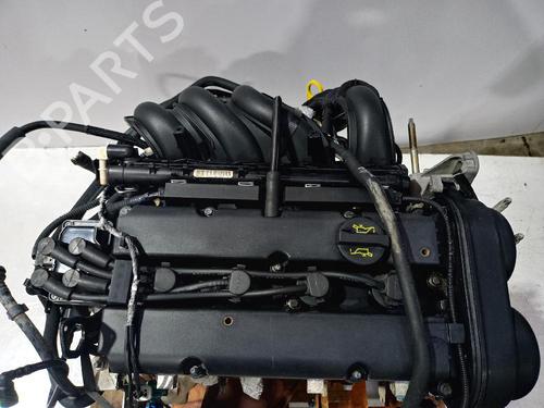 Engine FORD FOCUS I Saloon (DFW) 1.6 16V | BP31556217M1 