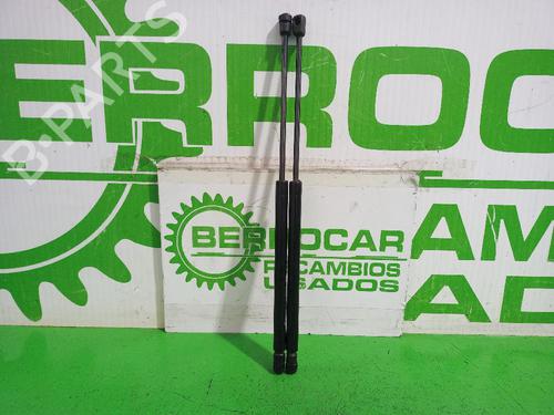 tailgate-lift-support-citroen-c5-ii-rc_-2004-2005-2006-2007-2008-33810476 main image