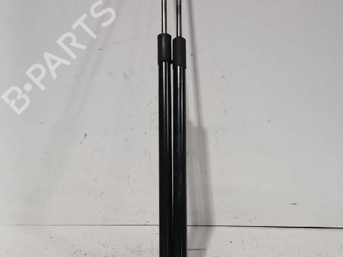 tailgate-lift-support-nissan-juke-f15-2010-2011-2012-2013-2014-2015-2016-2017-2018-2019-32489159 main image