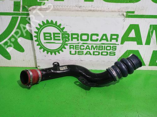 Pipe FORD FOCUS I (DAW, DBW) 1.8 TDCi | BP31552096M125