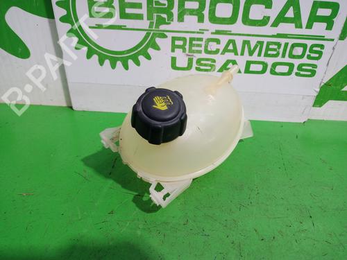 Ekpansionstank DACIA SANDERO II | BP38862067C120 - Image 2