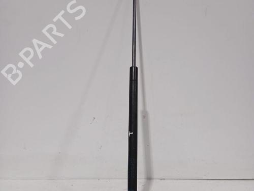 tailgate-lift-support-citroen-c1-pm_-pn_-2005-2006-2007-2008-2009-2010-2011-2012-2013-2014-31568748 main image