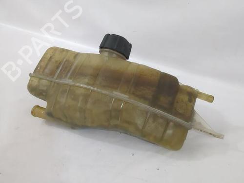 Ekpansionstank Ekpansionstank RENAULT CLIO III (BR0/1, CR0/1) 1.4 16V (98 hp) 36404626 36404626
