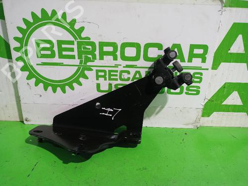 Hinge/Door check strap RENAULT KANGOO BE BOP (KW0/1_) 1.5 dCi 75 | BP31551932C146