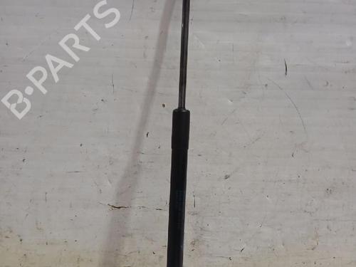 Used Tailgate lift support TOYOTA AURIS (_E15_) 1.33 Dual-VVTi (NRE150_, NRE150R) (101 hp) 31564233