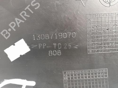 Other FIAT DOBLO Cargo (263_) 1.3 D Multijet (263WXU1A, 263ZXU1A, 263WYB1A, 263ZYB1A) | BP31541619O1