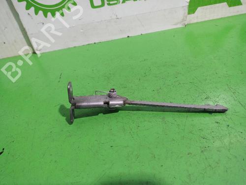 Hinge/Door check strap RENAULT KANGOO BE BOP (KW0/1_) 1.5 dCi 75 | BP31551929C146 
