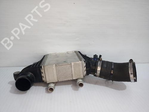 Intercooler JAGUAR E-PACE (X540) 2.0 D150 AWD | BP31554754M30 