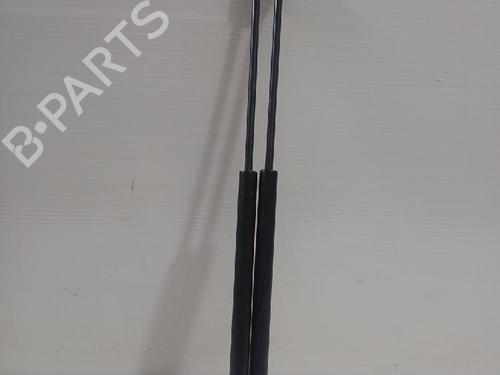 Used Tailgate lift support CITROËN C3 I (FC_, FN_) 1.4 i (73 hp) 31565267