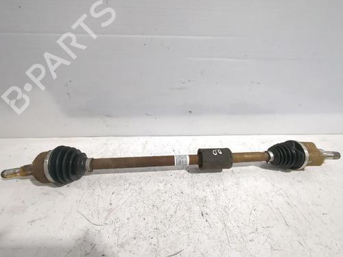 BP32464779M39 main image