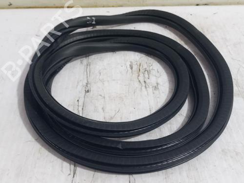 Used Rubber door seal OPEL CORSA F (P2JO) 1.2 (68) (101 hp) 31562760