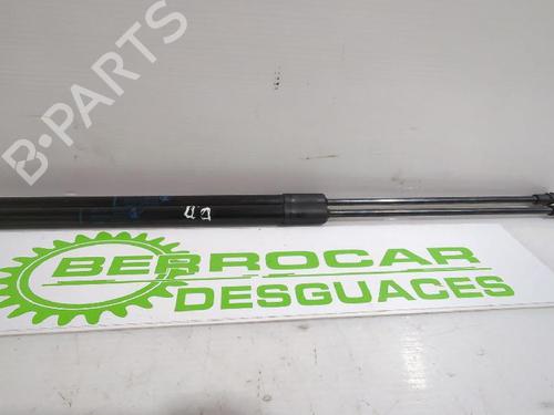 hood-lift-support-dacia-duster-hm_-2017-32462642 main image