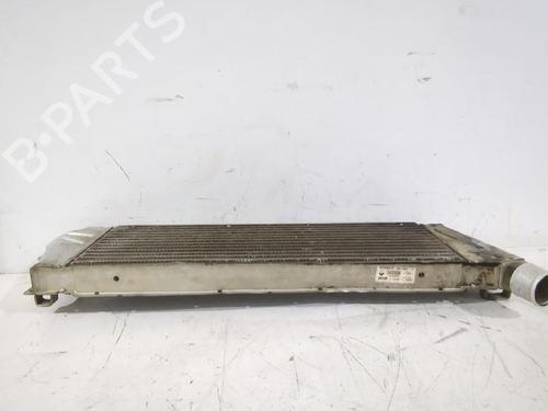 Intercooler RENAULT MEGANE II (BM0/1_, CM0/1_) 1.9 dCi (BM0G, CM0G) | BP32465792M30