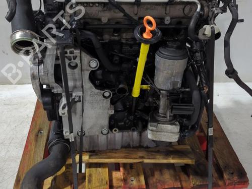 Engine VW GOLF V (1K1) 2.0 TDI | BP33810525M1 - Image 7