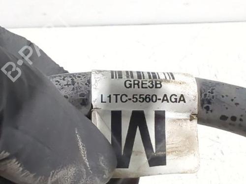 Støddæmperfjeder FORD PUMA (J2K, CF7) 1.0 EcoBoost | BP32464783C152