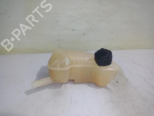 expansion-tank-renault-scenic-ii-jm01_-2003-2004-2005-2006-2007-2008-2009-2010-31558678 main image