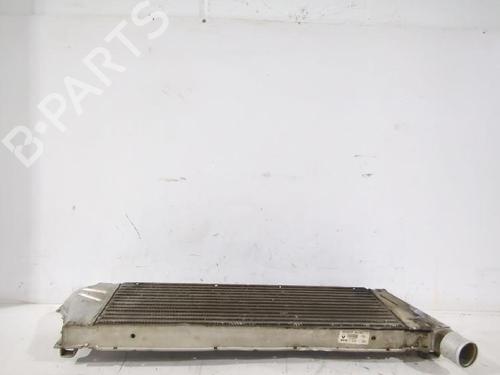 Intercooler RENAULT MEGANE II (BM0/1_, CM0/1_) 1.9 dCi (BM0G, CM0G) | BP32465792M30