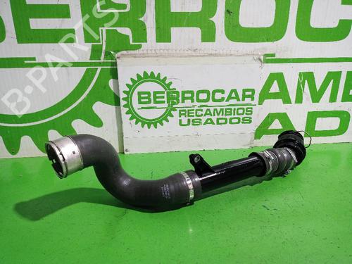 Pipe RENAULT KANGOO BE BOP (KW0/1_) 1.5 dCi 75 | BP31551939M125 