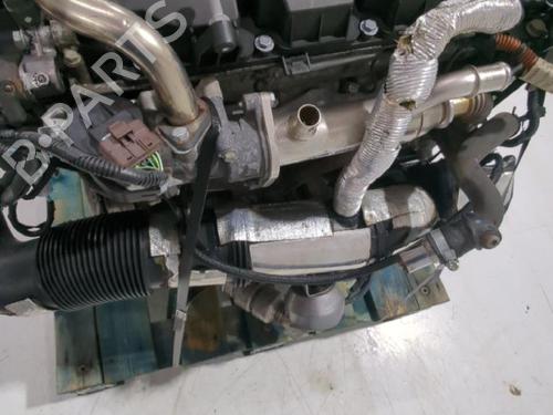 Engine FORD FOCUS C-MAX (DM2) 2.0 TDCi | BP32464601M1
