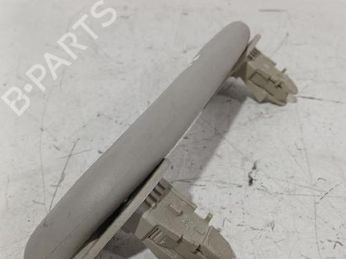 Interior roof handle RENAULT MEGANE II (BM0/1_, CM0/1_) 1.9 dCi (BM0G, CM0G) | BP32465804I35 