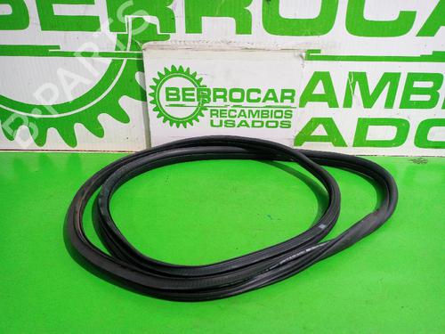 Used Rubber door seal CITROËN C3 II (SC_) 1.2 VTi 82 (82 hp) 31551546
