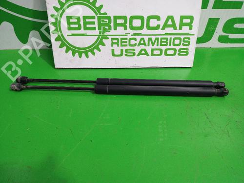 Used Tailgate lift support RENAULT SCÉNIC II (JM0/1_) 1.6 BiFuel (113 hp) 31544718