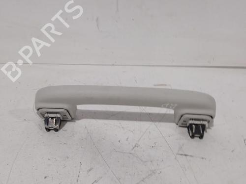 Interior roof handle FORD PUMA (J2K, CF7) 1.0 EcoBoost | BP32464709I35