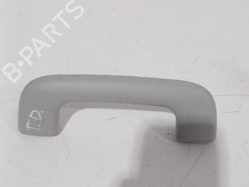 Interior roof handle HYUNDAI i20 III (BC3, BI3) 1.0 T-GDI | BP32462513I35