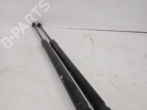 Tailgate lift support OPEL CORSA D (S07) 1.3 CDTI (L08, L68) | BP32463603C138