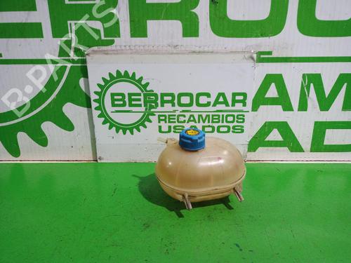 Used Expansion tank FIAT 500 C (312_) 1.3 D Multijet (312CXE1A, 312AXE1A) (95 hp) 31551731